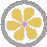 Flower: Amber