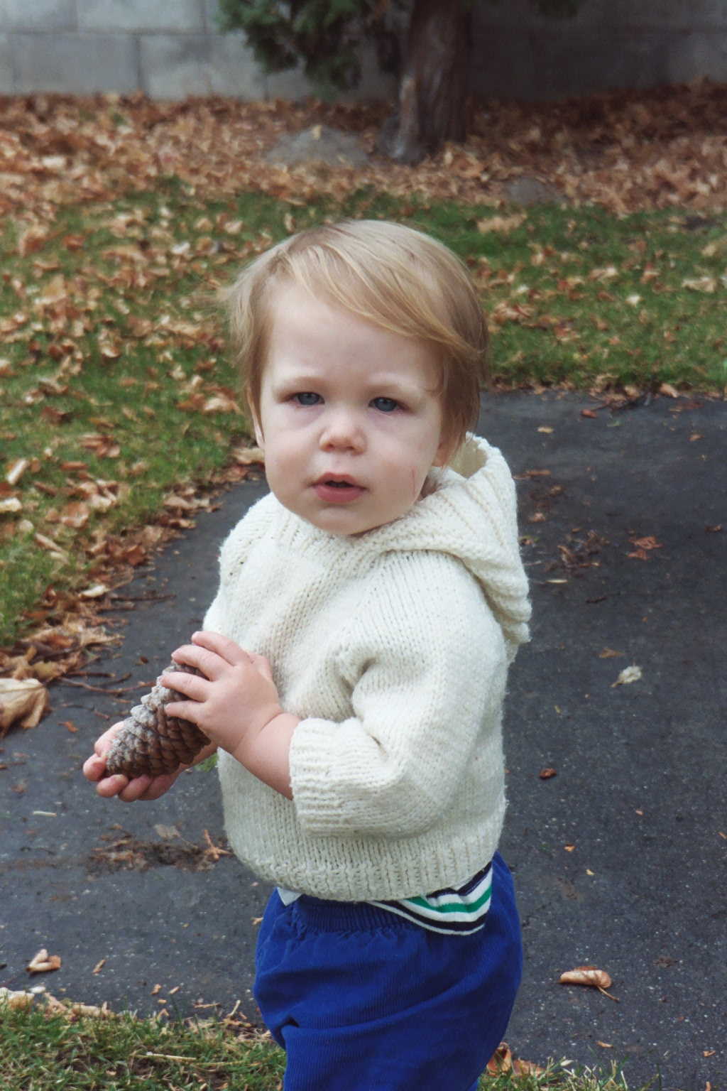James With a Pine Cone
